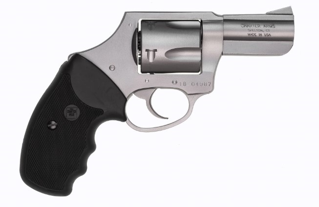 CHARTER ARMS BULLDOG .44 SPL. LARGE 5 SHOT 2.5IN FIXED DAO STAINLESS STEEL 74421 - Win Repeating Arms Promotion